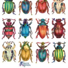 Violette Stickers – Beetles – 1 Colorful Bugs & Insects Sticker Sheet – Crafts