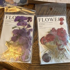 Dried Flowers Sticker Pack, Multicolor Flowers & Plants/Variety of Colors