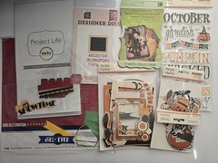 Huge SCRAPBOOK Bundle Echo Park Paper Stickers Embellishments Simple Stories Lot