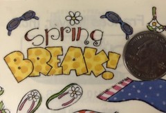 SPRING BREAK Jumbo Mylar Sticker(22pc)Frances Meyer Holiday•Beach•Towel•Flipflop