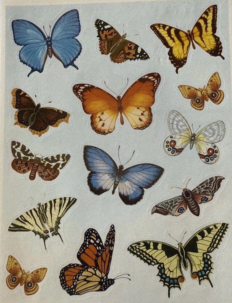 NATURAL BUTTERFLIES Stickers (14pc)Earth tone•Bugs•Wings•Flying •Card Making•