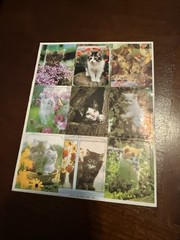 Vintage Sticker Sheet Realistic Photographic Cats Kittens