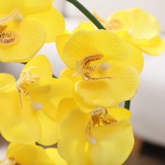 15″ Tall Artificial Silk Phalaenopsis Orchid Flower Plant Pot Arrangements (Y…