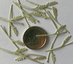 LIGHT GREEN DAISY STEM Die-cut Embellishment(15pc)Jolee’s •Flowers•Garden•Leaf