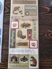 Colorbok Stickers LOT ~ Lodge Elements, Hiking Boots, Leaves Outdoors NEW #5