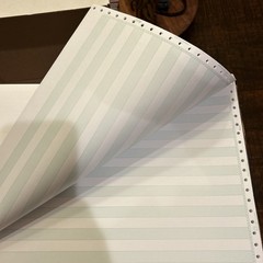 Staples Green Bar Computer Paper 14-7/8″ x 11″ – 76Line 100 sheets