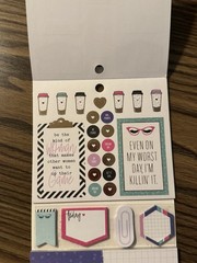 The Happy Planner Boss Babe Multipack 399 Pieces PLMP-04