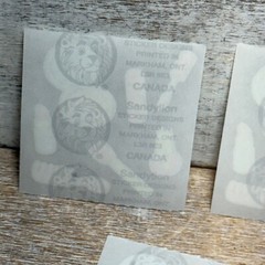 Lot of 3 VTG Sandylion Stickers Pods Assorted BEAUTY, LIPSTICK, COMB 21 Cts New