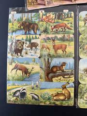 LOT OF 7 Full Sheets VTG Animals Birds Dogs EAS Die Cut Paper Scrap Germany