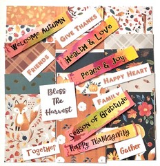Scrapbook Paper Kit 25 Plus Items Kit For Junk Journals, Scrapbook Pages, Cards