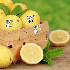 Lemon Stickers 1.5 Inch 500 Pcs Thank You Small Business Labels for Cups