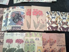 100 Pc Scrapbooking Supplies JJ Craft Kit Florabunda Theme Ephemera New Product