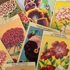 25 Random Antique French Flower Seed Labels