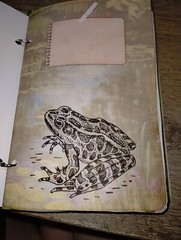 Pond Life Junk Journal Scrapbook USA Seller