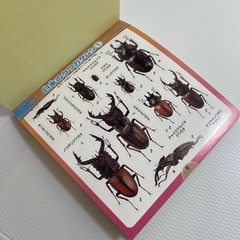 Beetle and Stag Beetle Japanese Stickers book 275 Stickers Shogakkan Neo JP