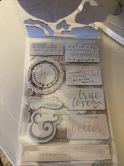 NEW Project Life Southern Wedding 35 Stickers Becky Higgins Scrapbooking NIP