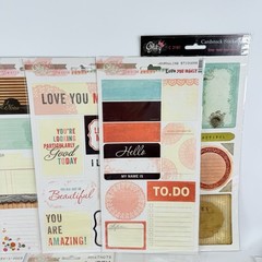 Glitz Scrapbook Stickers Embellishments Amy Tangerine Studio Calico LOT of 23 B
