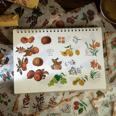 Dizdkizd Nature Botanical Stickers for Journaling, Ephemera Sticker Book, Transl