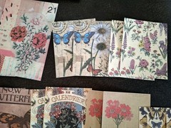 100 Pc Scrapbooking Supplies JJ Craft Kit Florabunda Theme Ephemera New Product