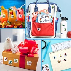 Hotop 600 Pcs Bird Stickers for Kids Bird Photos Stickers Animals Bird