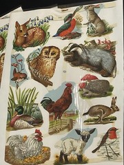 LOT OF 14 Full Sheets VTG MLP 1563 Animals Birds Die Cut Paper Scrap England