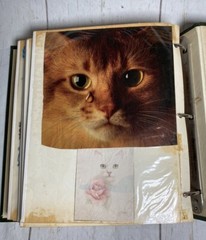 VTG 80s STICKER ALBUM 22 Double Sided Pages Scratch & Sniff – Star Wars & More!