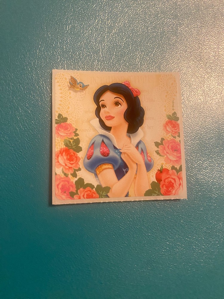 Snow White Sticker Module 2.5″ Inches