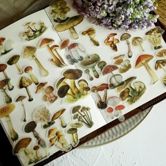 100 pcs Small Mushroom Translucent Vellum Matte Surface Paper Sticker Scrapbook
