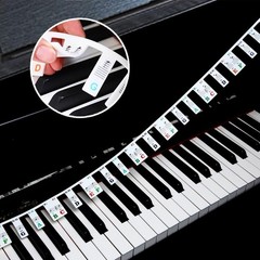 Removable Silicone Piano Note Stickers Labels Key Guide for Beginner Piano