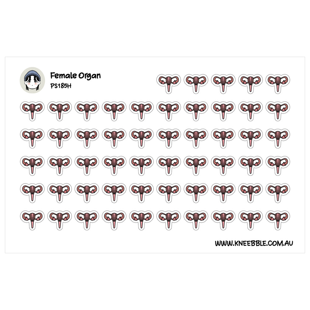Female Reproductive Stickers – Fertility Tracking & Organ Planner Decals