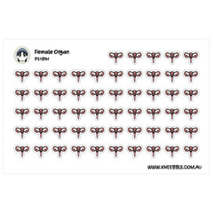 Female Reproductive Stickers – Fertility Tracking & Organ Planner Decals