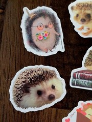 STICKERS x 10 Hedgehogs SASSY Cute Baby Hedgehog Sticker Book Love Flowers HO4