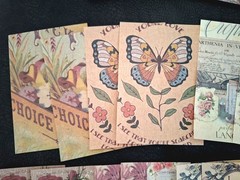 100 Pc Scrapbooking Supplies JJ Craft Kit Florabunda Theme Ephemera New Product