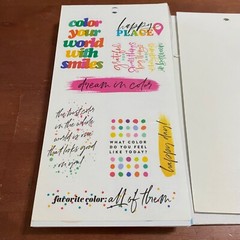 The Happy Planner Loose Partial Sticker Pages 120 Count