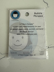 Li’l Davis Design Embellish Bubble Phrase~Moment Time Wonder Reflection Memories