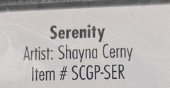 All My Memories Studio Collection Guitar Pick Accents Serenity