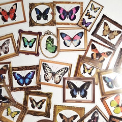 52 Unique Vintage Butterfly Photo Frame Stickers @ 2″x2.5″