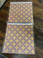 2 PACKS Close To My Heart Scrapbooking paper sheets My Reflections Viva CB20131