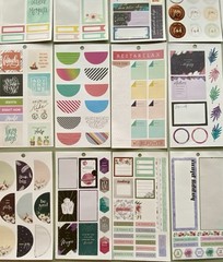 Lot Of 40 Sheets Happy Planner Complete & Incomplete! #3
