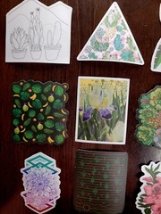 STICKERS x 10 Succulents Fern Plants Flowers Lily’s Mango Orchid Cactus Pl8