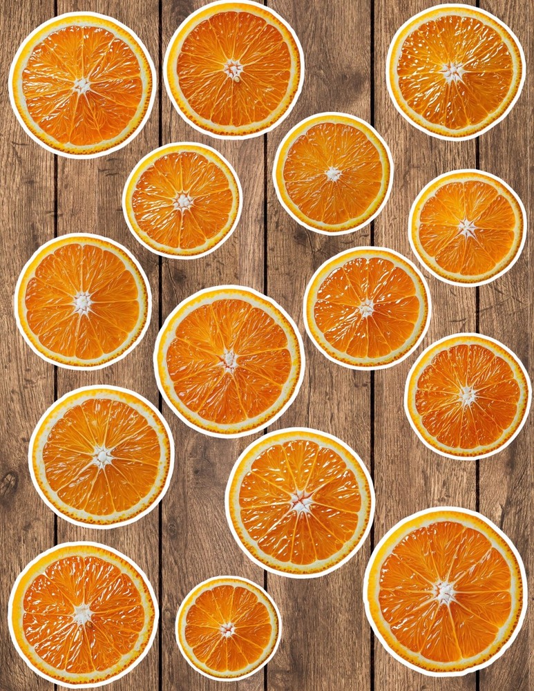Orange Slices Die Cut Vinyl Stickers Set Scrapbooking Laptop Waterbottle