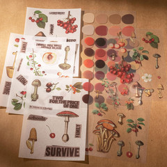 Scrapbook Kit for Beginners, Aesthetic Junk Journal Supplies, Scrapbooking and J