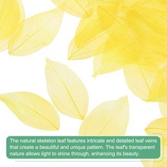 100-Pack Skeleton Leaves, Natural Rubber Leaves Vein[4-6cm, Dark Light Yellow]