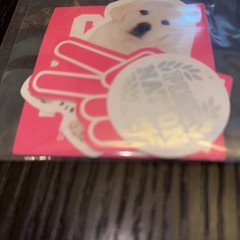 Victoria Secret Pink Stickers NEW 4 stickers in each