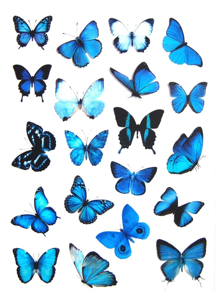 BEAUTIFUL VINYL BUTTERFLY STICKERS 7 7/8″X 5.75″ SHEET #1-U Blue Fast Shipping