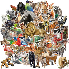 100 Pcs Transparent Animal Stickers – Jungle Wild Safari Zoo Theme