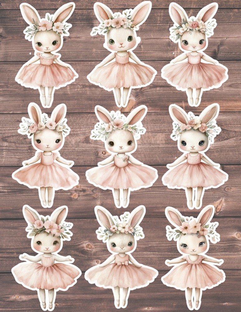 Ballerina Bunny Die Cut Vinyl Stickers Set Scrapbooking Laptop Waterbottle