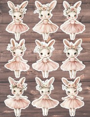 Ballerina Bunny Die Cut Vinyl Stickers Set Scrapbooking Laptop Waterbottle