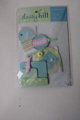 Daisy Hill Multi – Color Baby Dimensional Pocket Embellish Cards Boxes Scrapbook