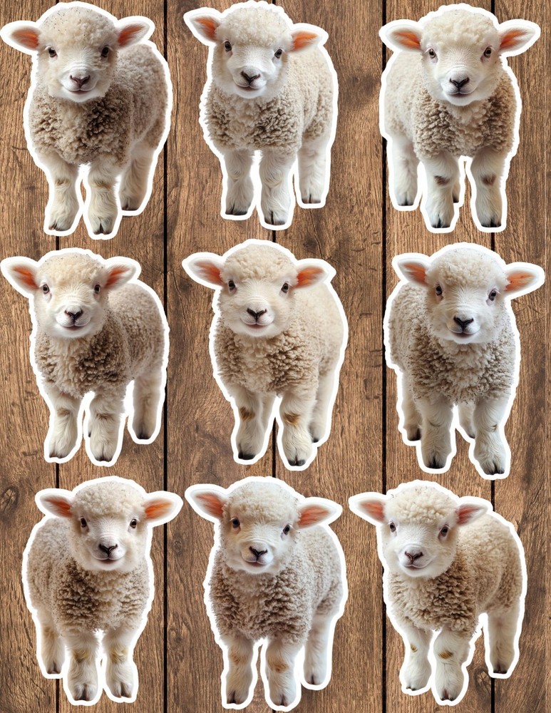 Fluffy Baby Sheep Die Cut Vinyl Stickers Set Scrapbooking Laptop Waterbottle